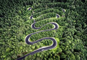 Road winding through a forest